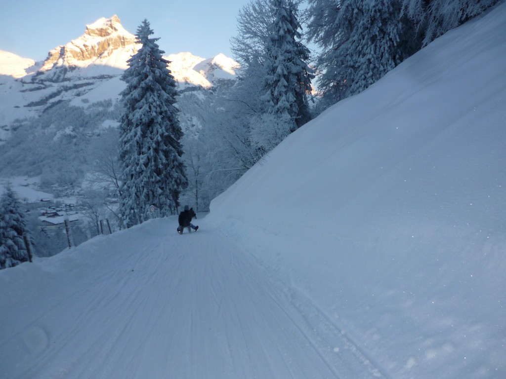 Sledding down Mt Titlis