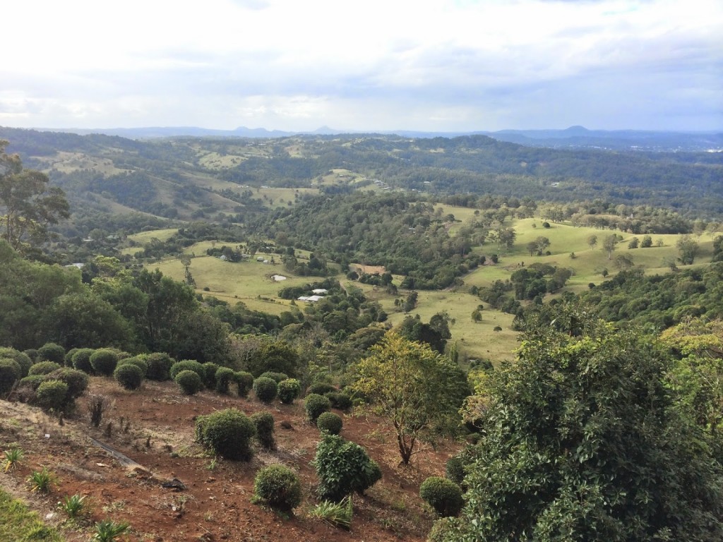 In the hinterlands - the view from The Edge Cafe in Montville