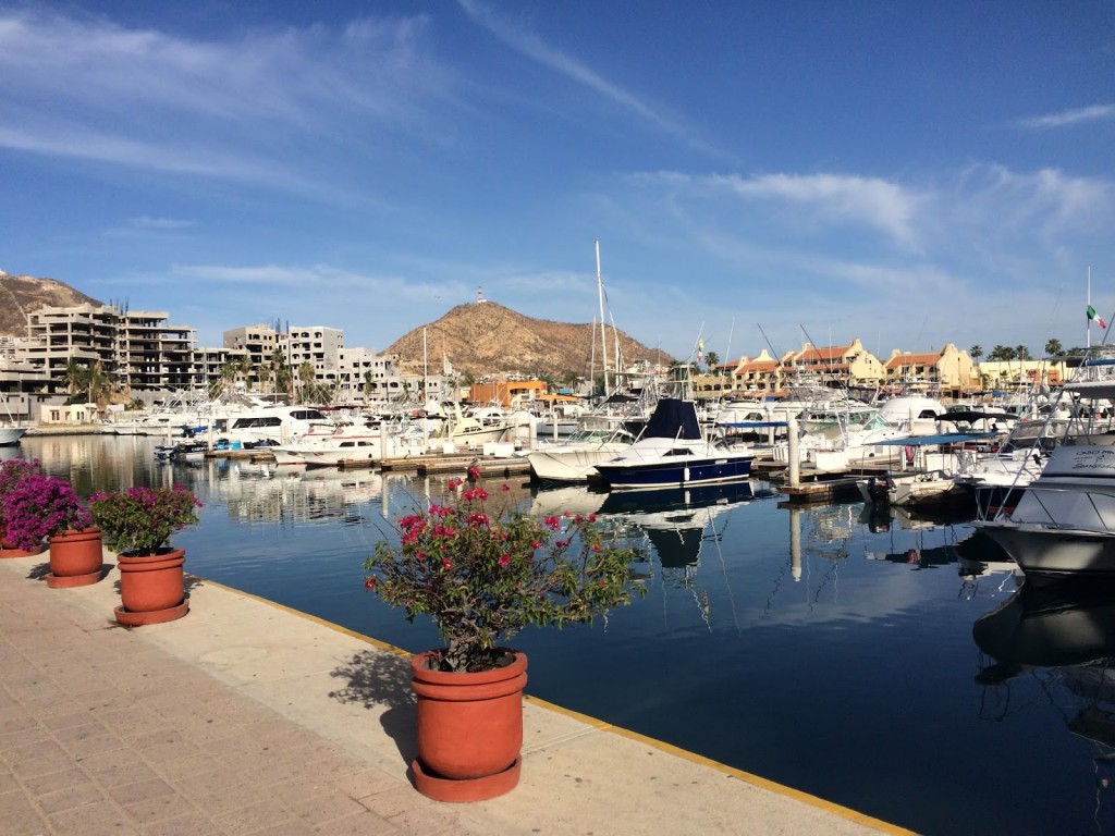 Marina Cabo San Lucas