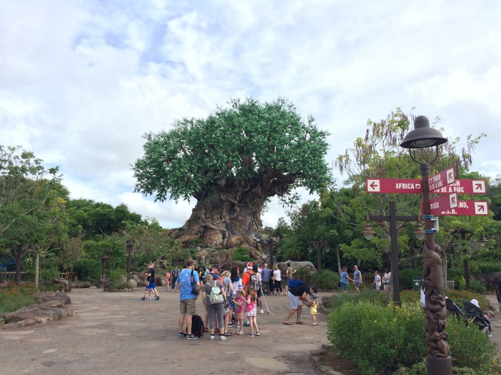 Animal Kingdom