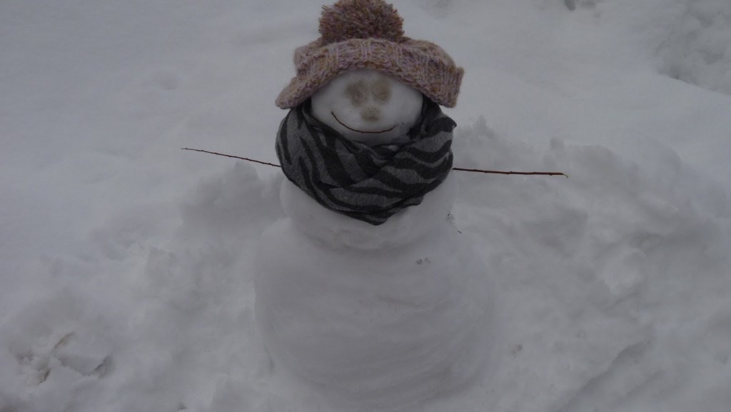 Our snowman Bob