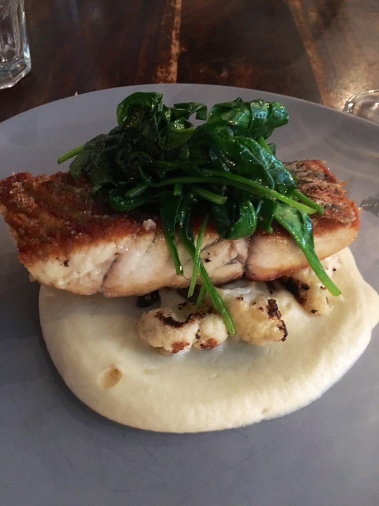 Barramundi