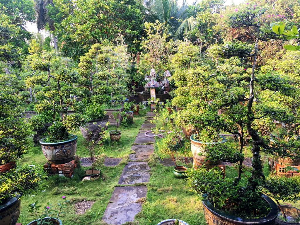 Homestay Garden