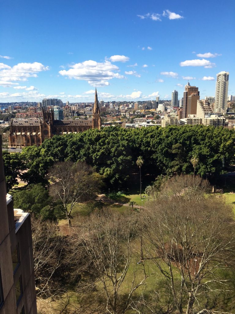 Hotel View